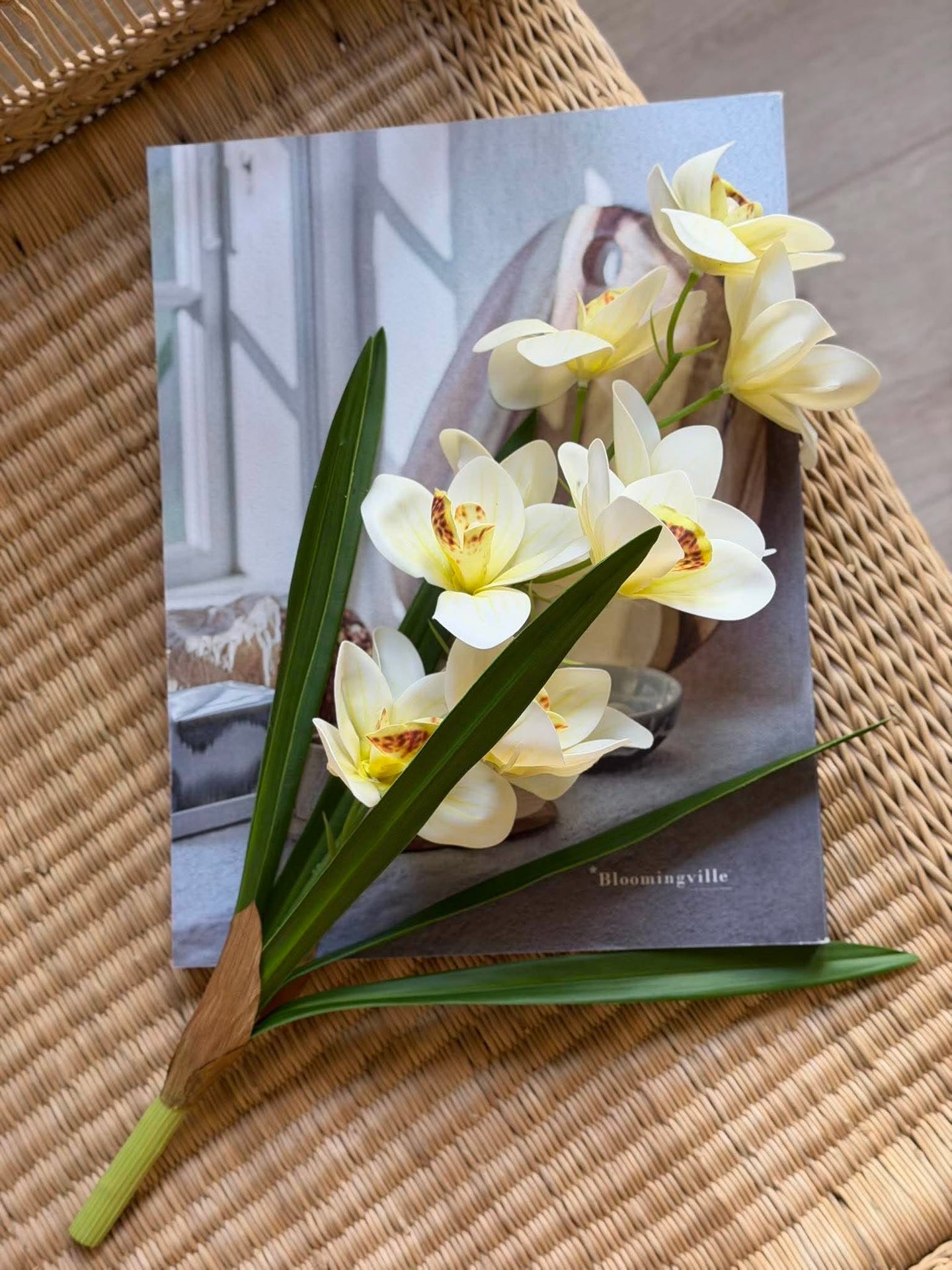 Orchideenstiel - 43 cm Weiß / Gelb