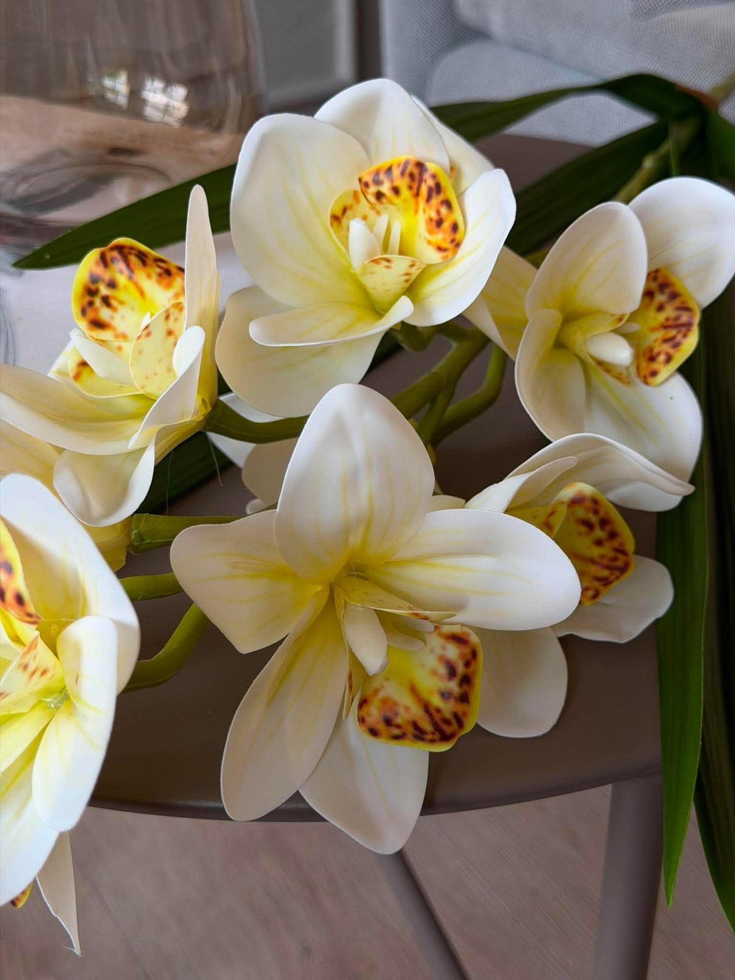 Orchideenstiel - 78 cm weiß / gelb
