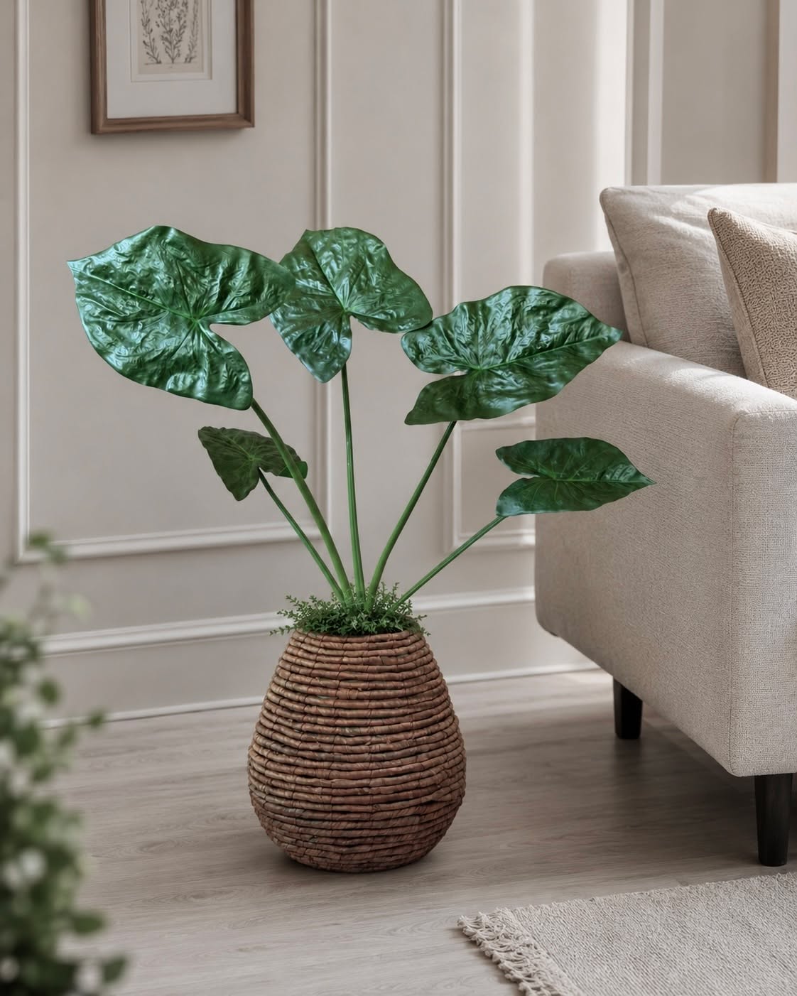 Pflanze Alocasia Big H:79 cm Grün