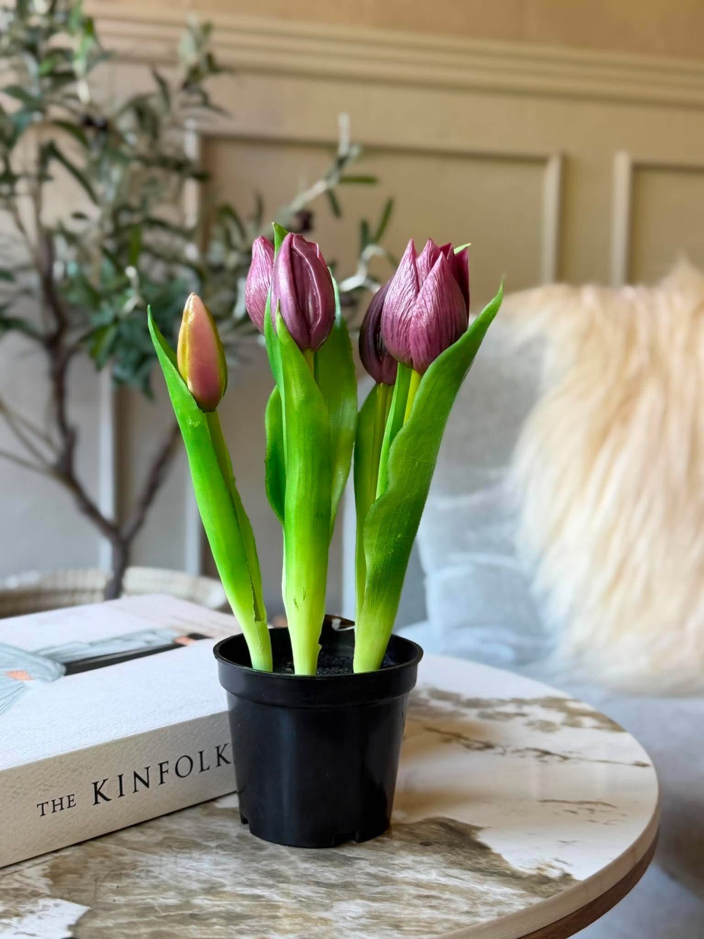 Tulpe im Topf - Lila mit 5 Blüten