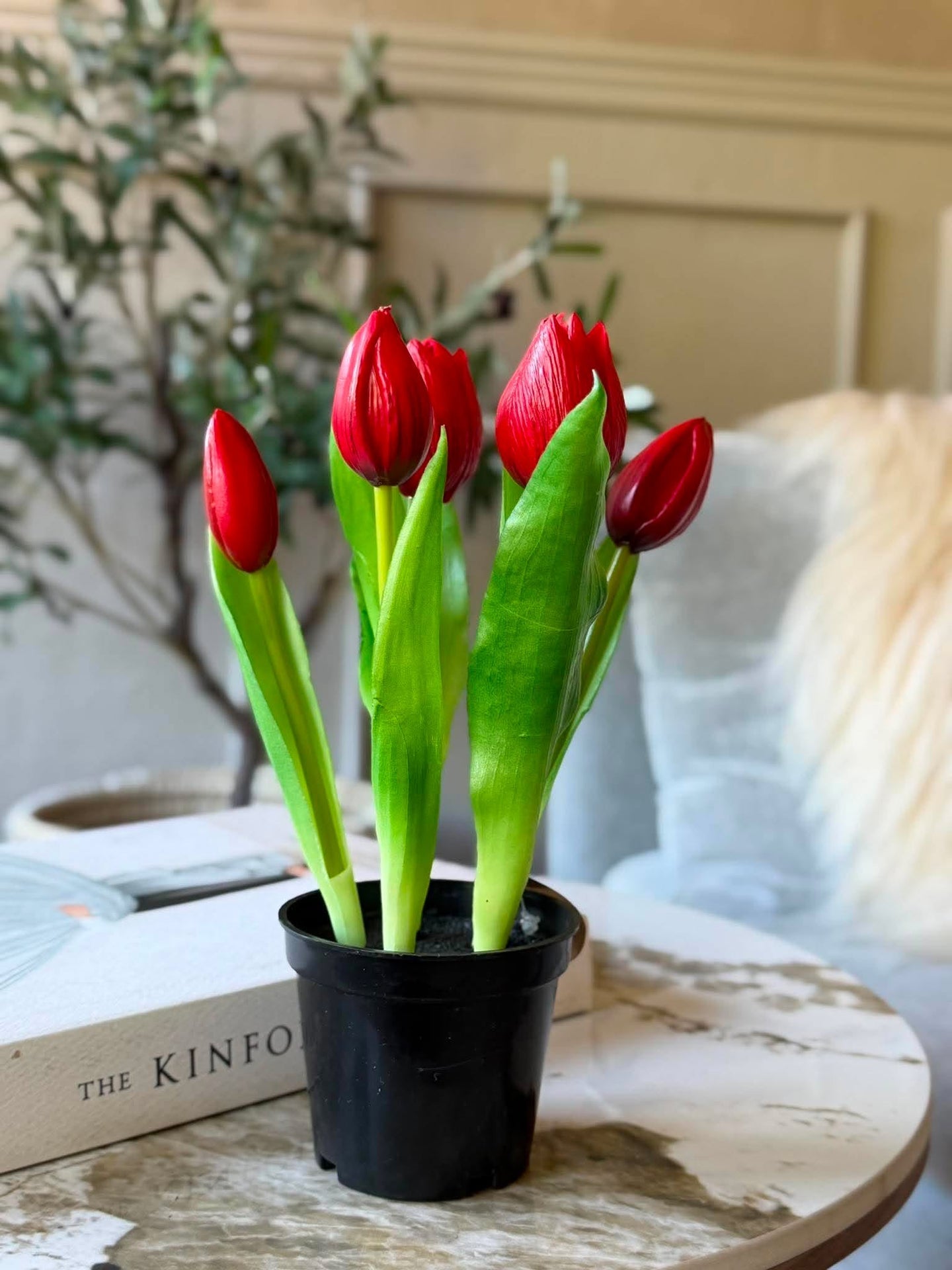 Tulpe im Topf - Rot mit 5 Blüten