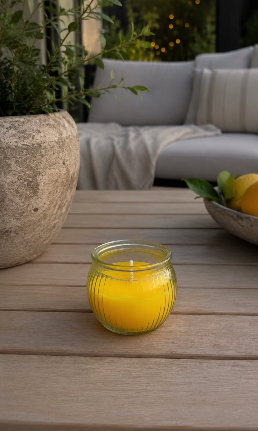 Citronella