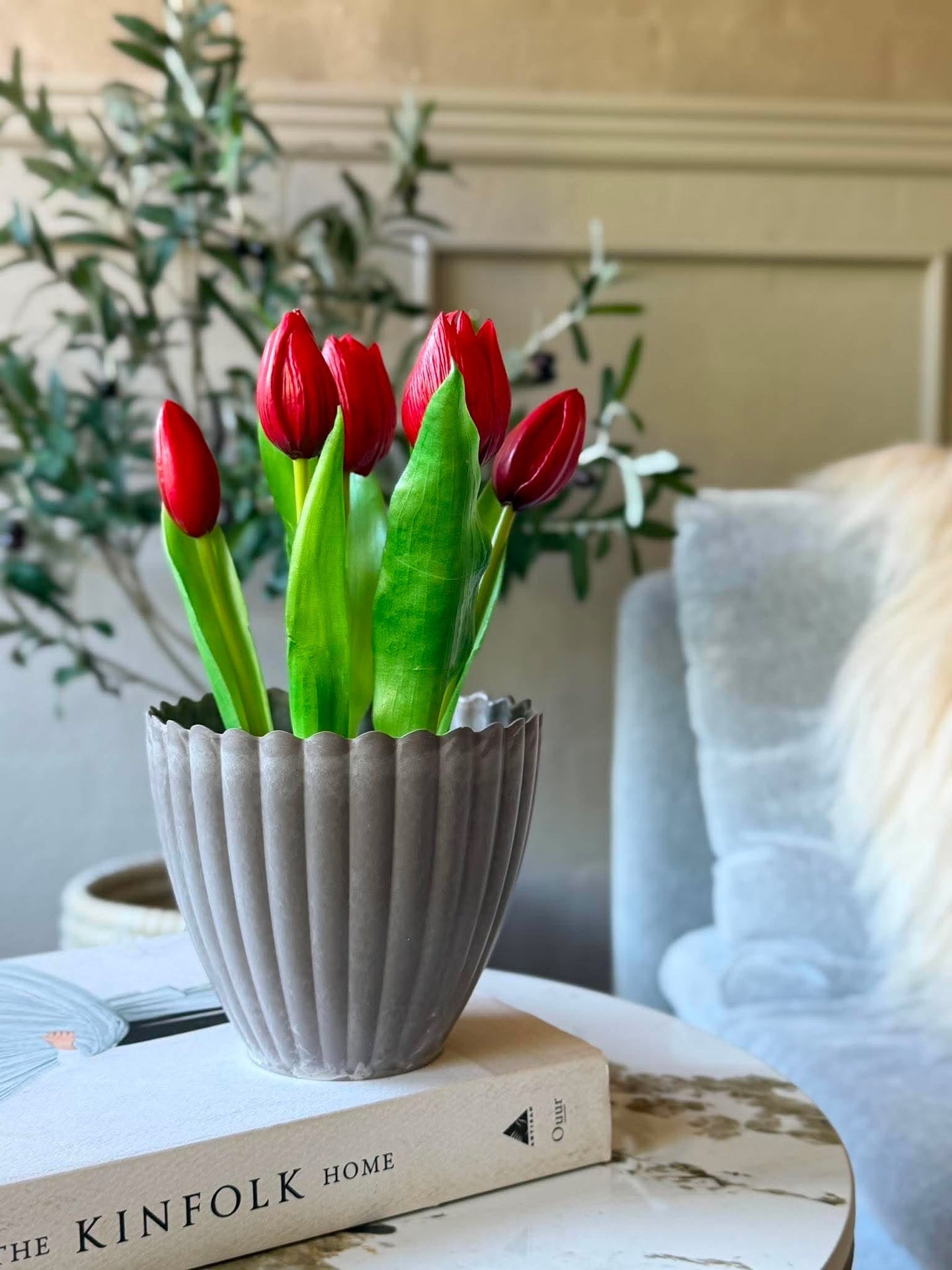 Tulpe im Topf - Rot mit 5 Blüten