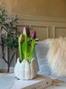 Tulpe im Topf - Lila mit 3 Blüten