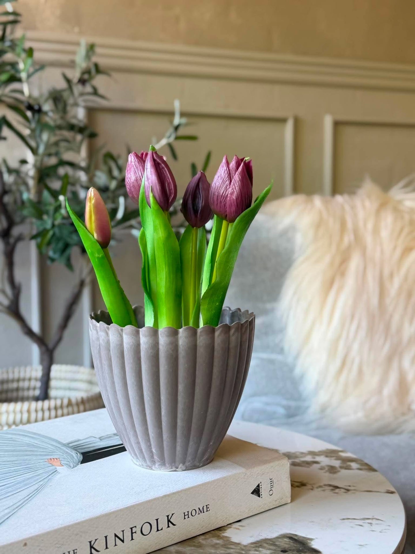 Tulpe im Topf - Lila mit 5 Blüten