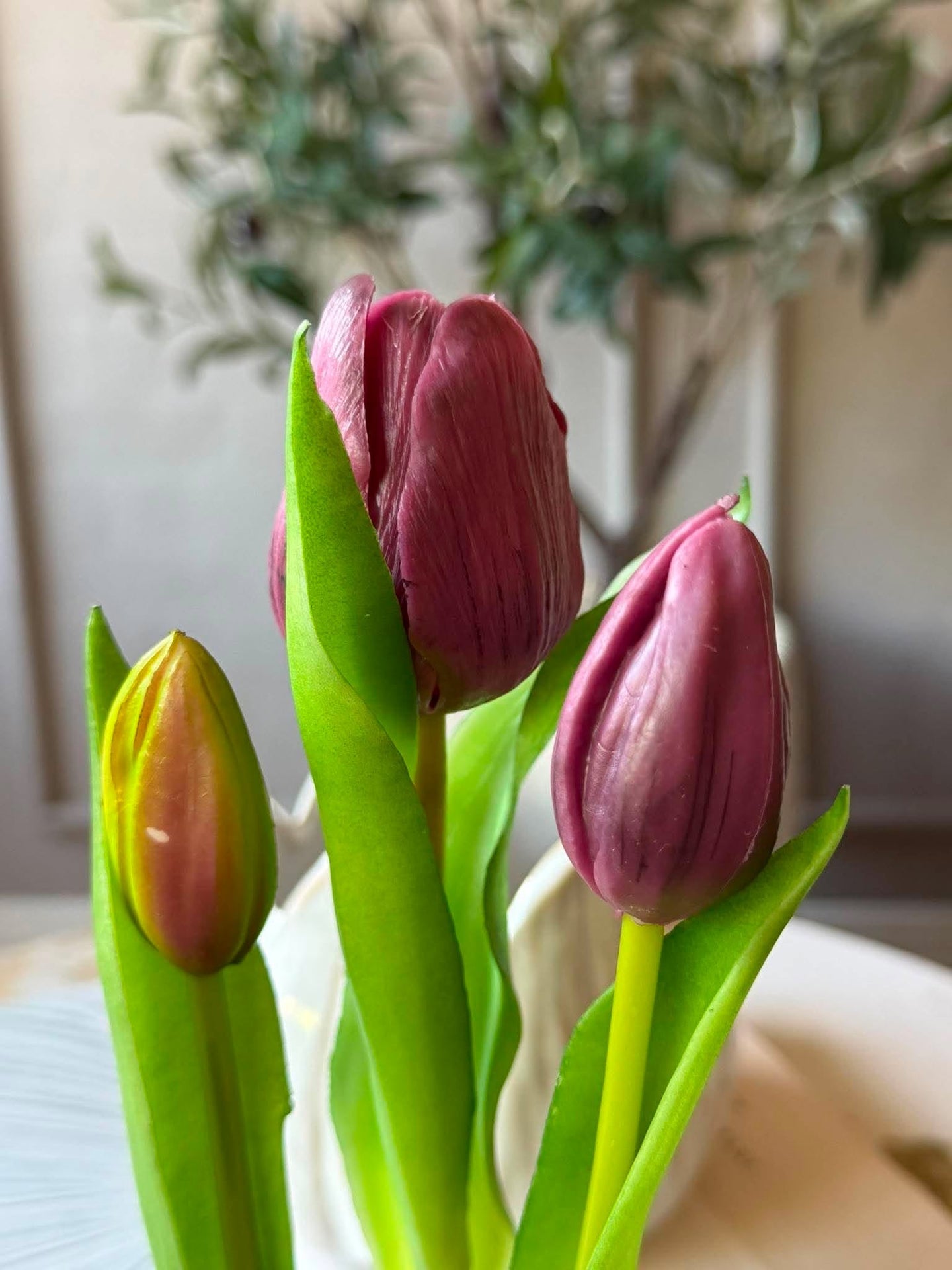 Tulpe im Topf - Lila mit 3 Blüten