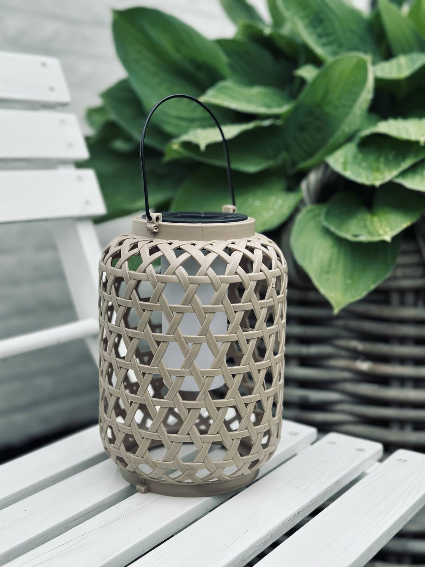 Laterne GINNY - Mehrere Farboptionen