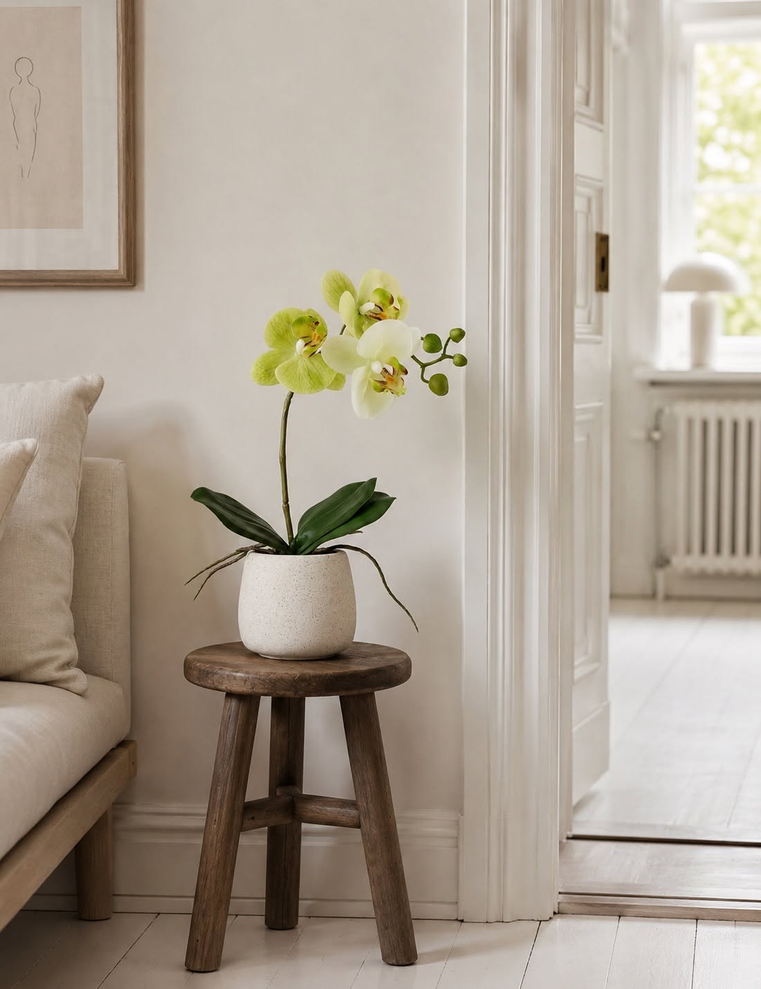 Orchidee im Topf - Limone 36cm