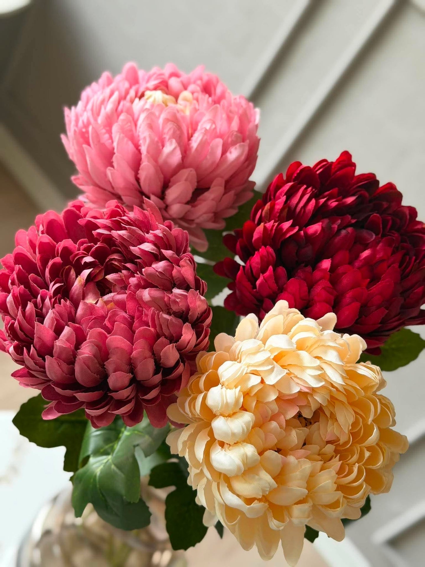 Chrysantheme - Color mix