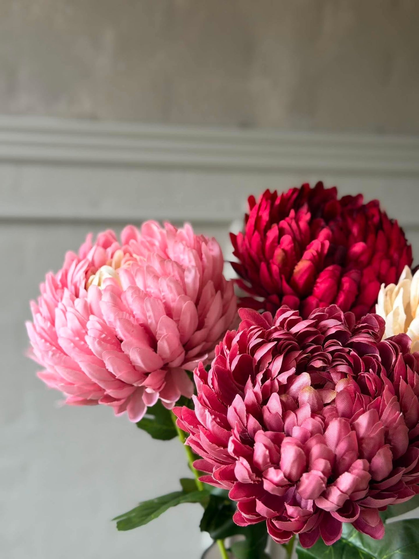 Chrysantheme - Color mix