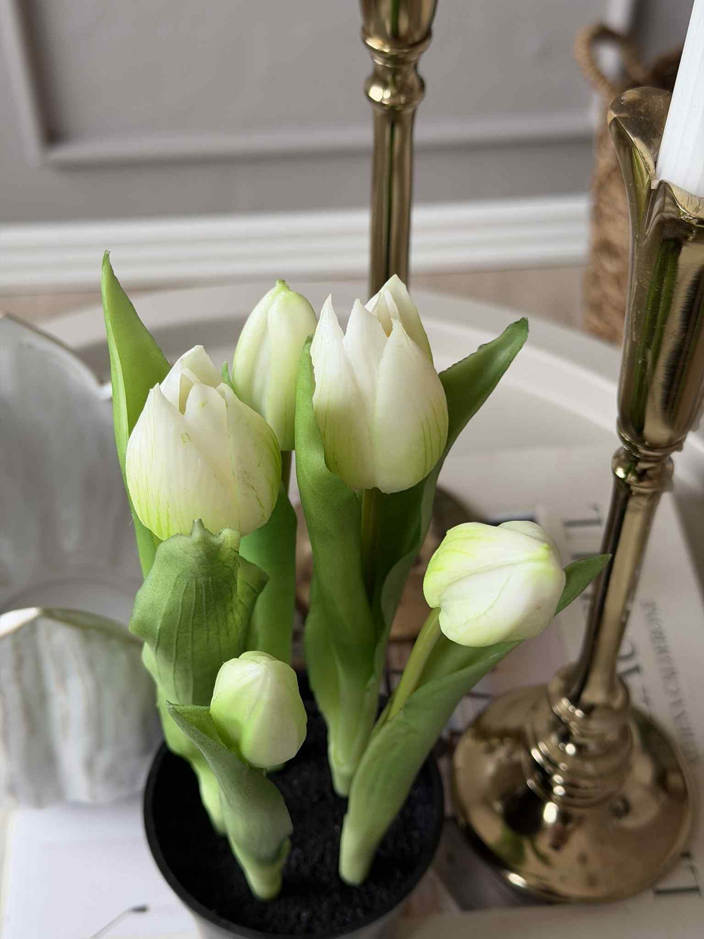 Tulpe im Topf - Weiß