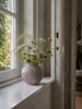 Vase mit Schleifen - mehrere Farben