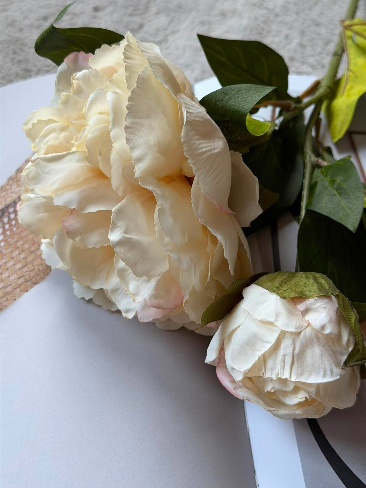 Pfingstrose 69 cm - creme