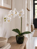 Orchidee 65cm