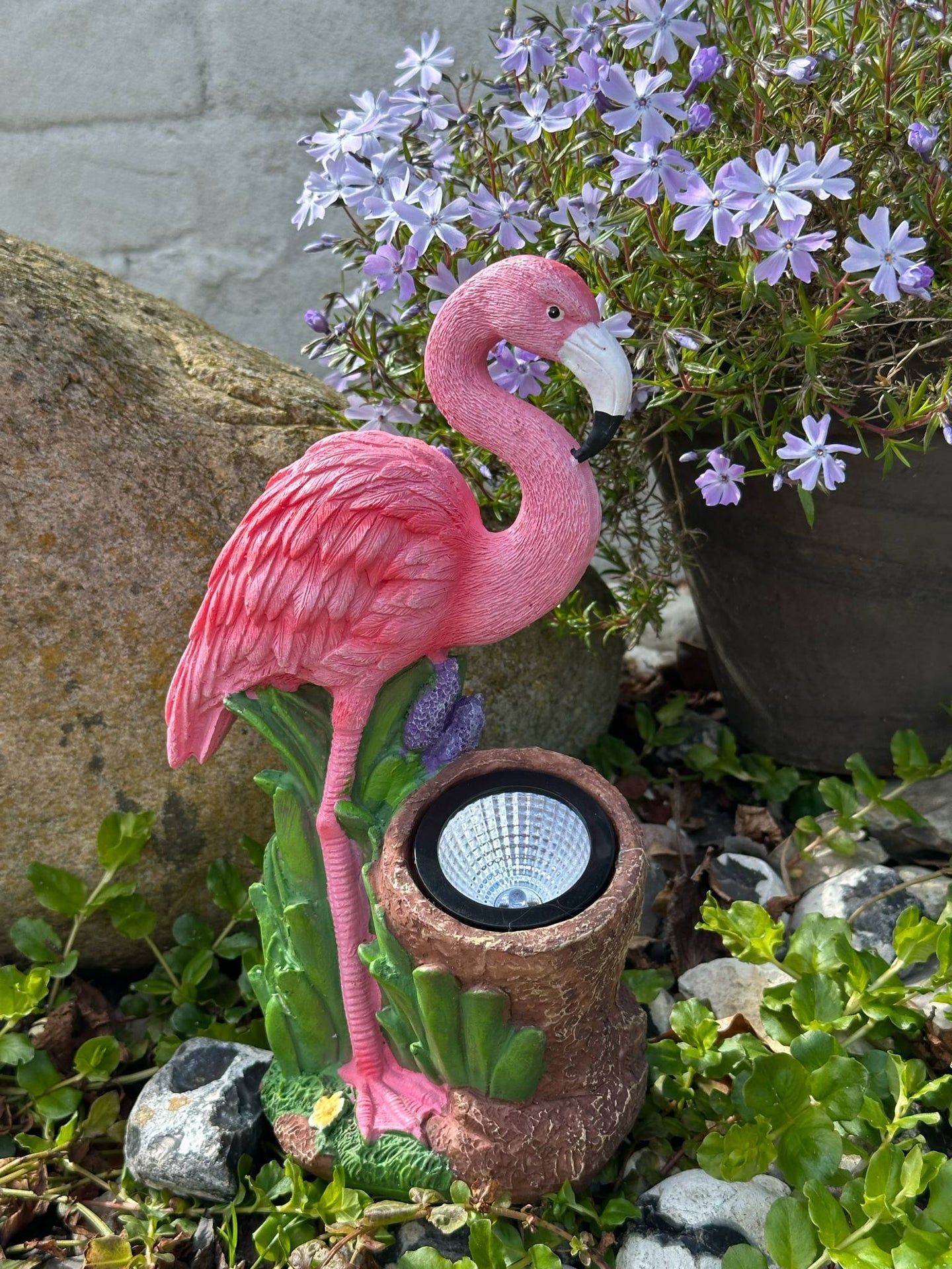 Flamingo mit Solar
