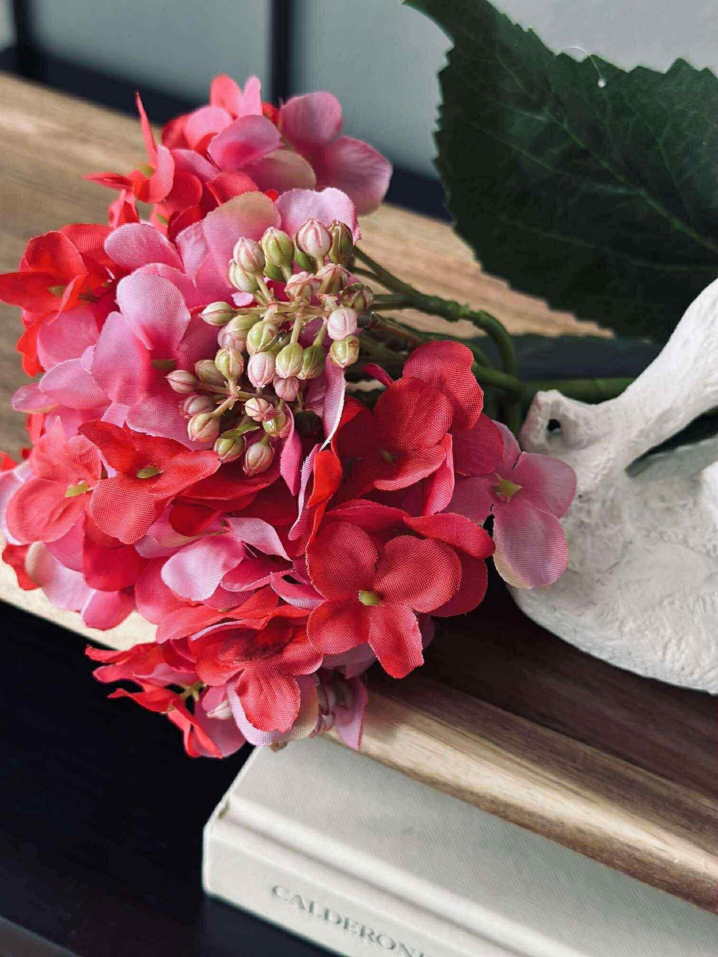 Hortensie Pink