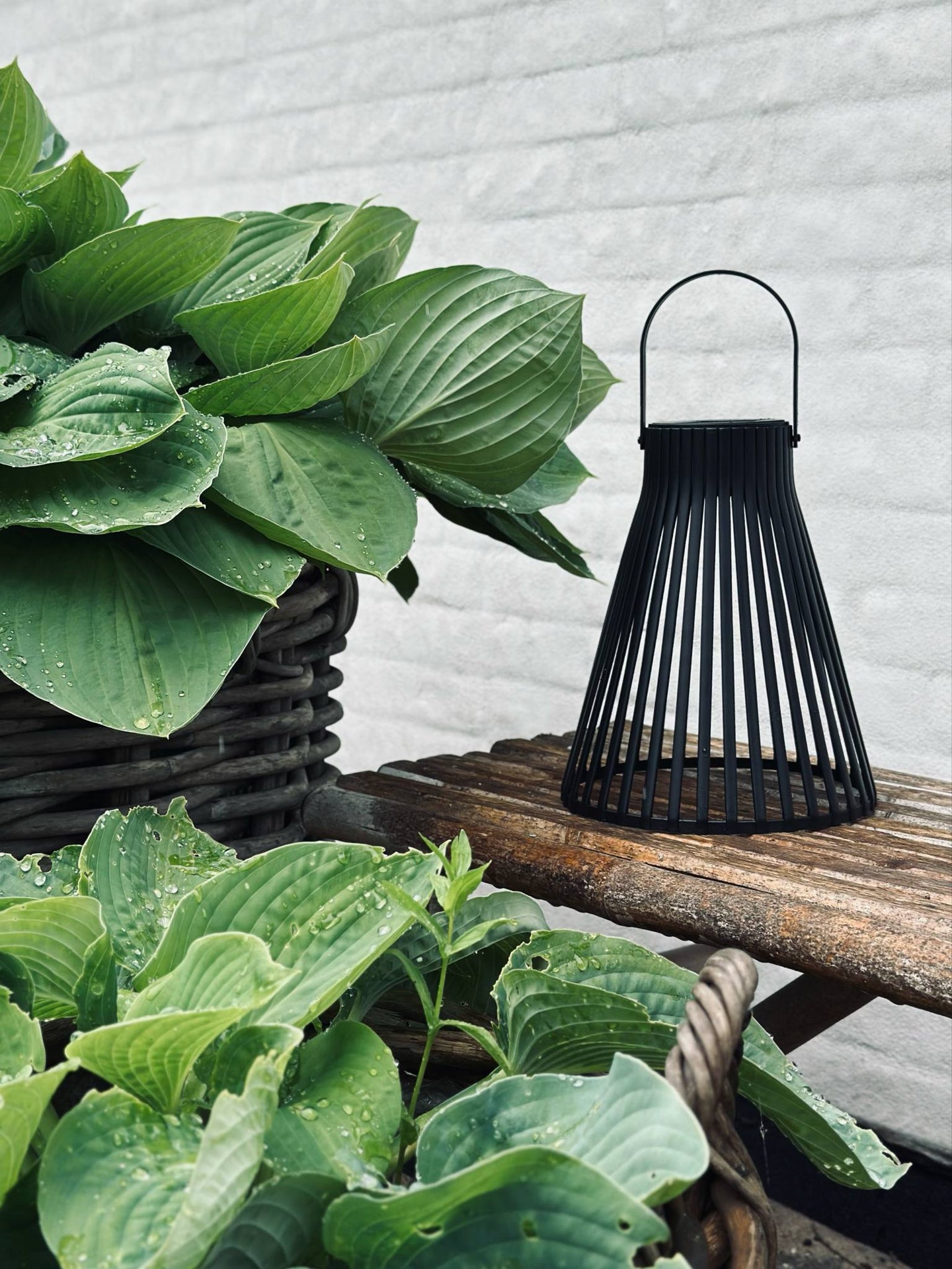 Laterne mit Solarzellen - GARDEN BLACK 24 cm