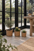Kurve sæt med 3 stk
