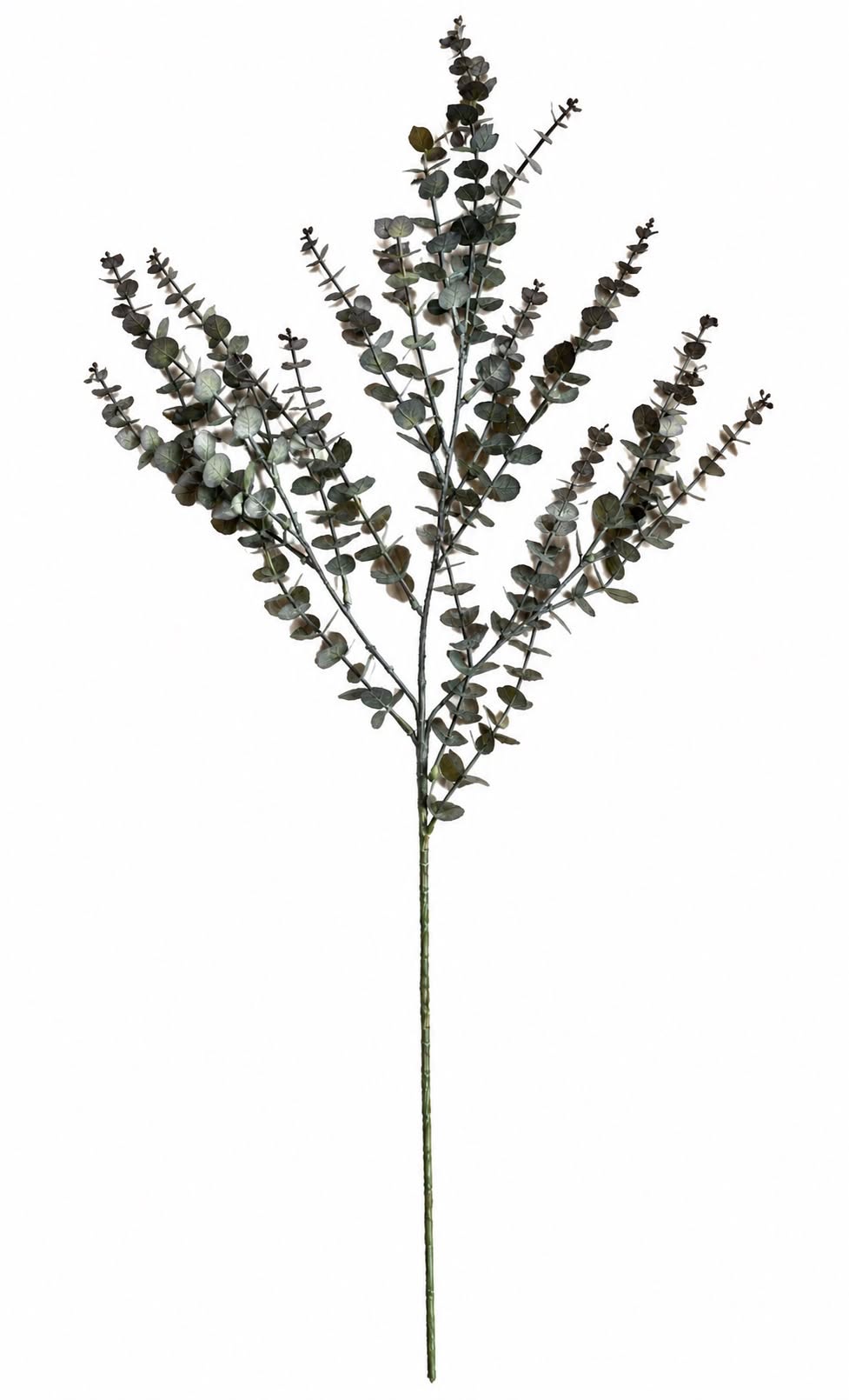 Cypress gren 82cm - Grøn