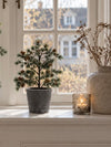Topf im Beton-Look - Mittel
