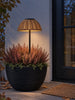Solar-Gartenlampe LINA auf Stab
