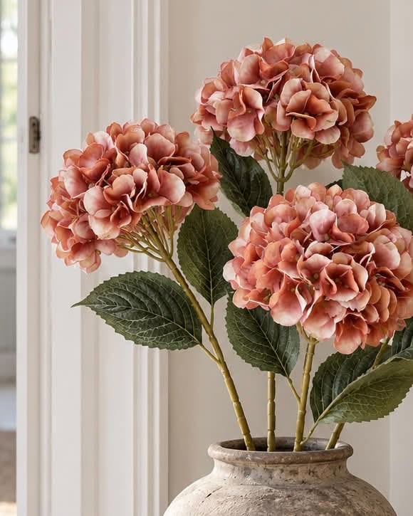 Hortensie gebrannte Farben - Mix