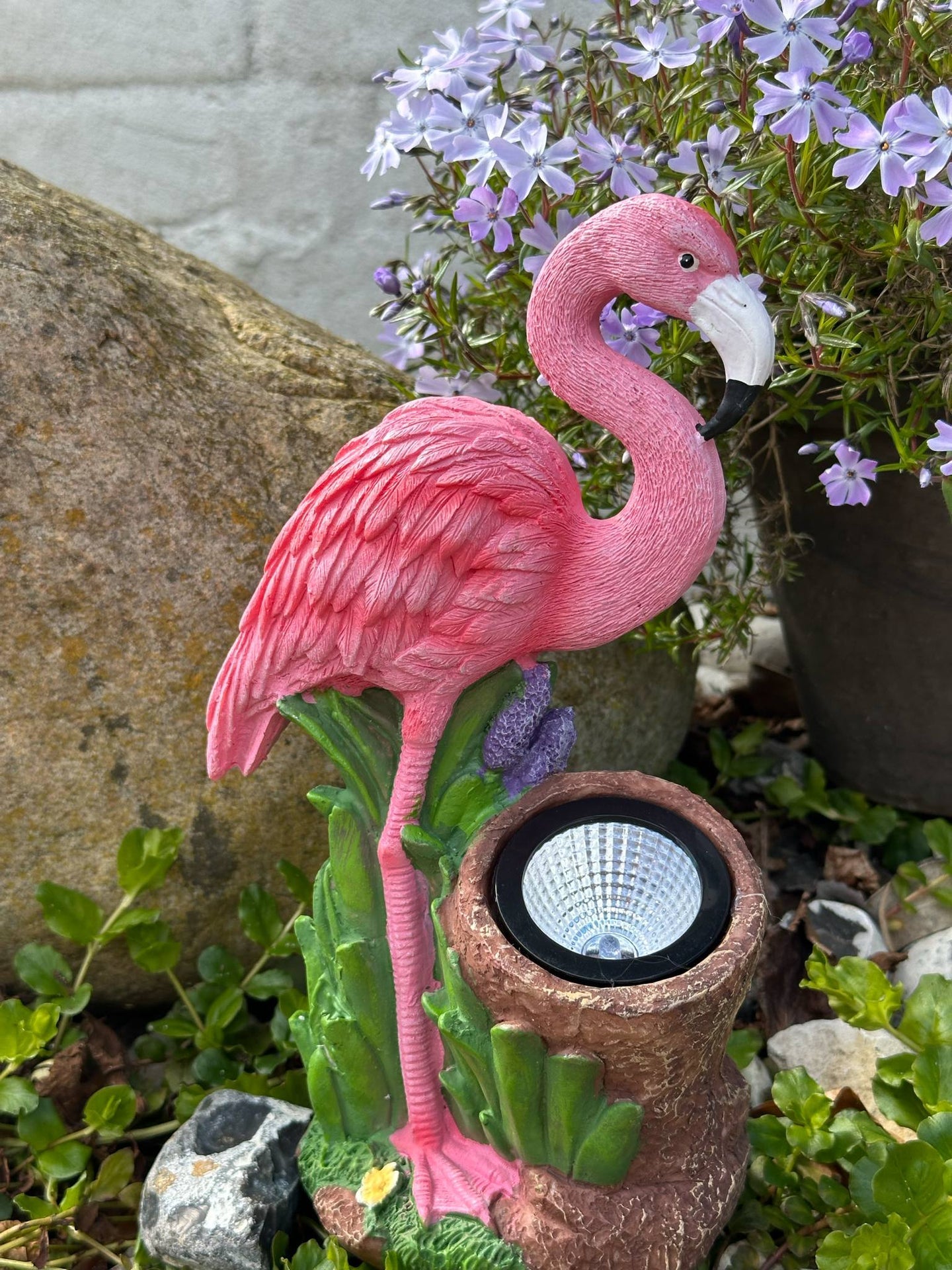 Flamingo mit Solar