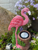 Flamingo mit Solar