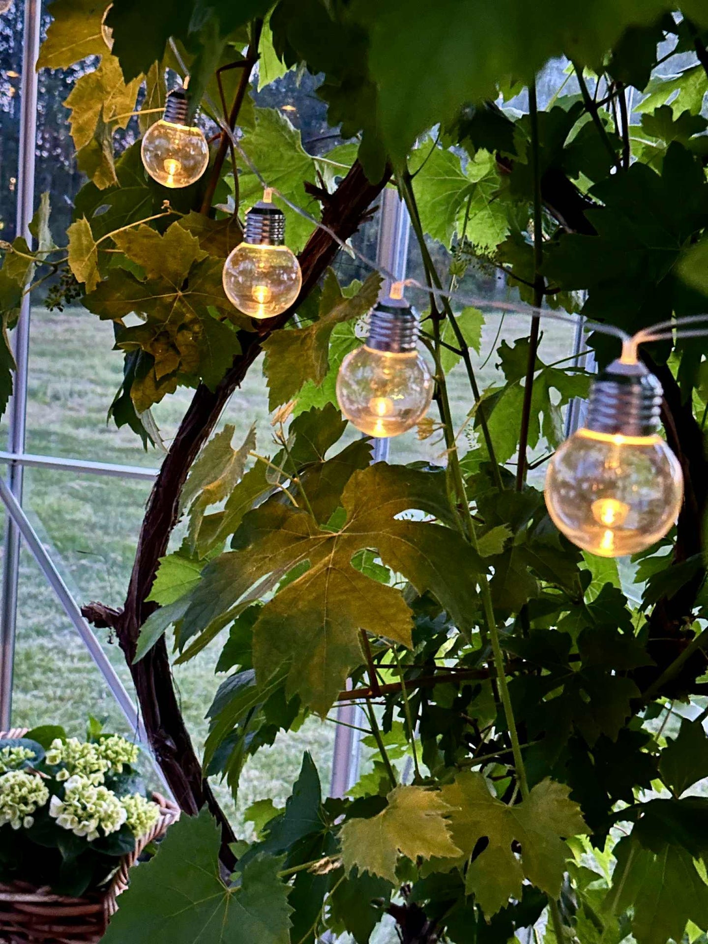 Lichterkette Laura mit Solarzellen - Außenbereich mit 10 und 20 Lichtern
