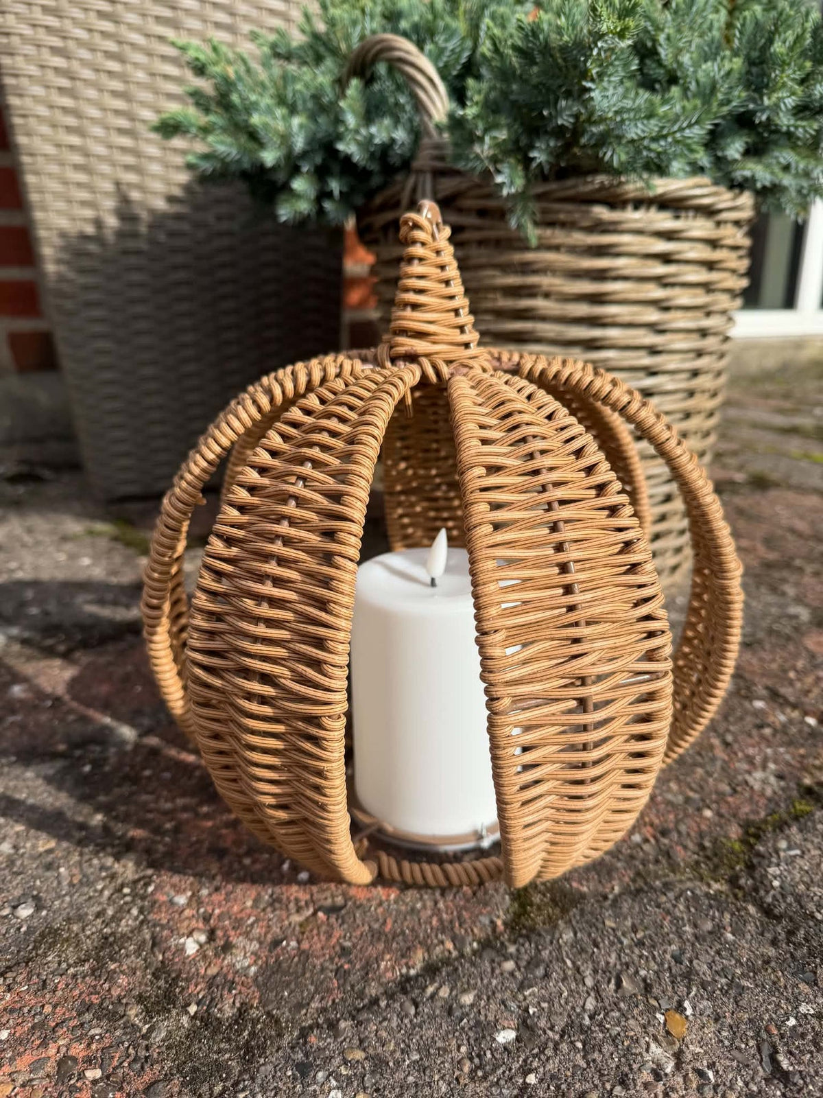 Kürbis mit Solar