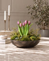 Tulpe im Topf - Dunkelrosa