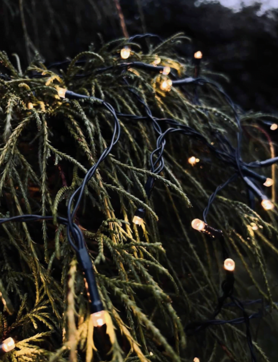 Lichterkette mit Solarzellen und USB - 480 LED-Lichter