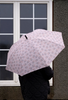 Regenschirm mit Blumen
