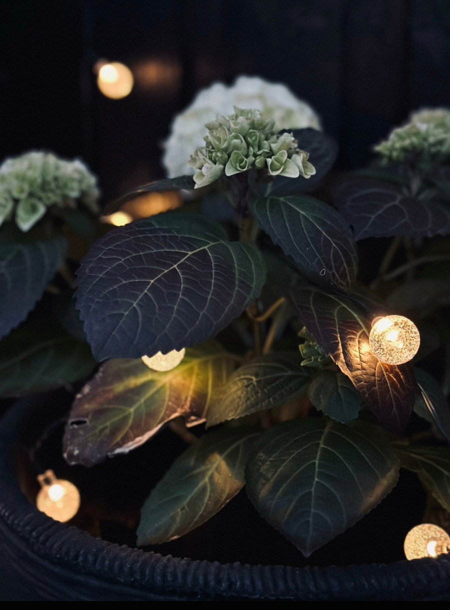Lichterkette Bella mit 20 Lampen – Solar