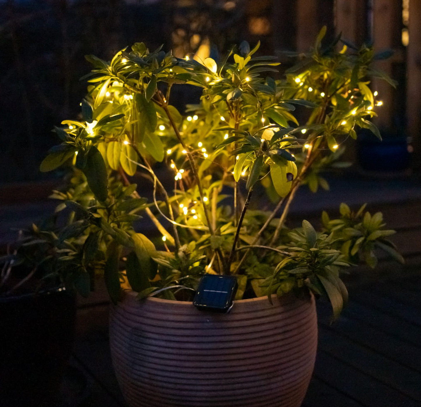 Lichterkette Marly mit Solar - 200 Lichter