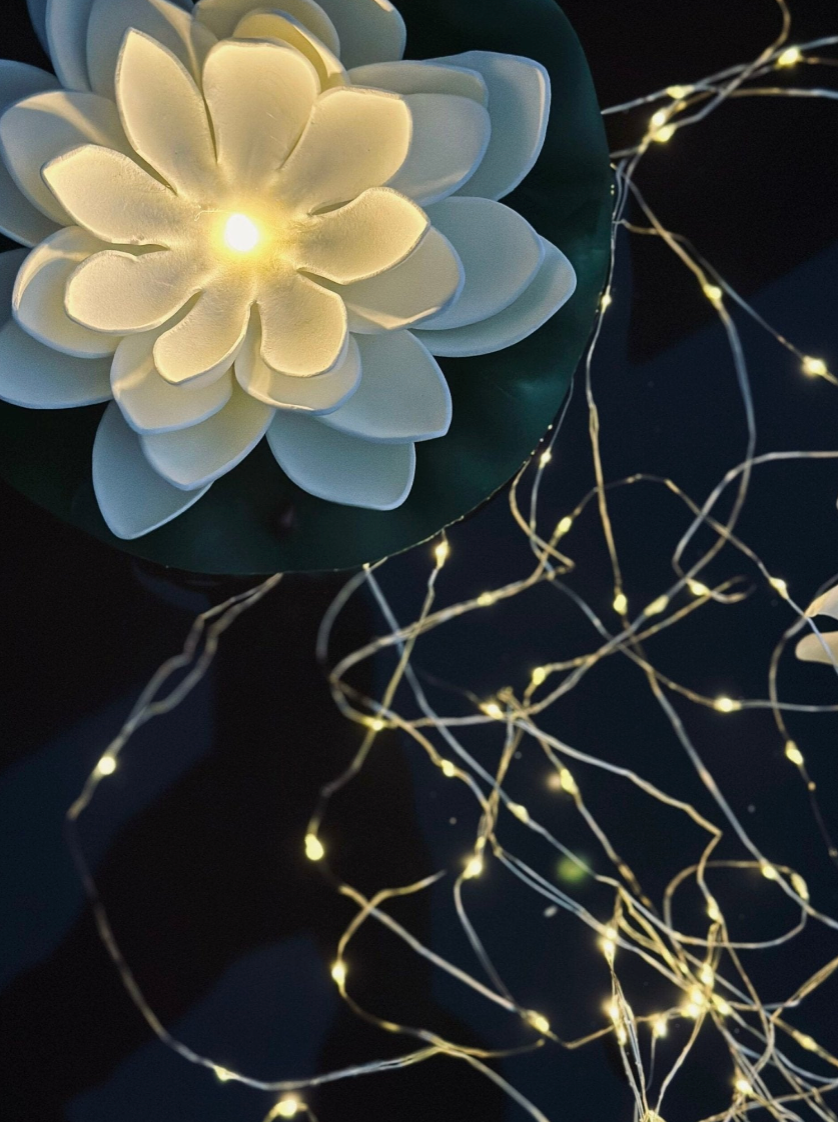 Lichterkette Marly mit Solar - 200 Lichter
