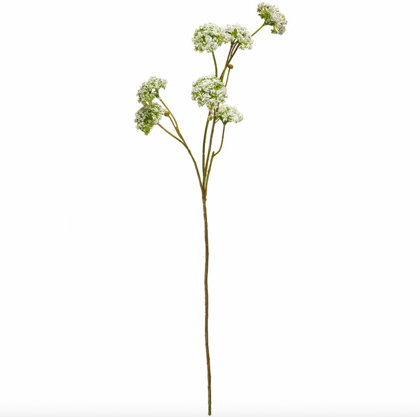 Wild flower Stiel