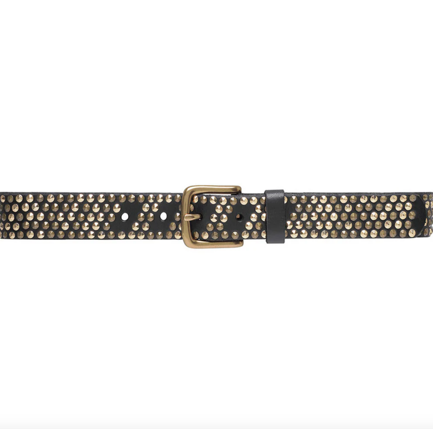 Jeans-Gürtel mit Nieten - Schwarz / Gold