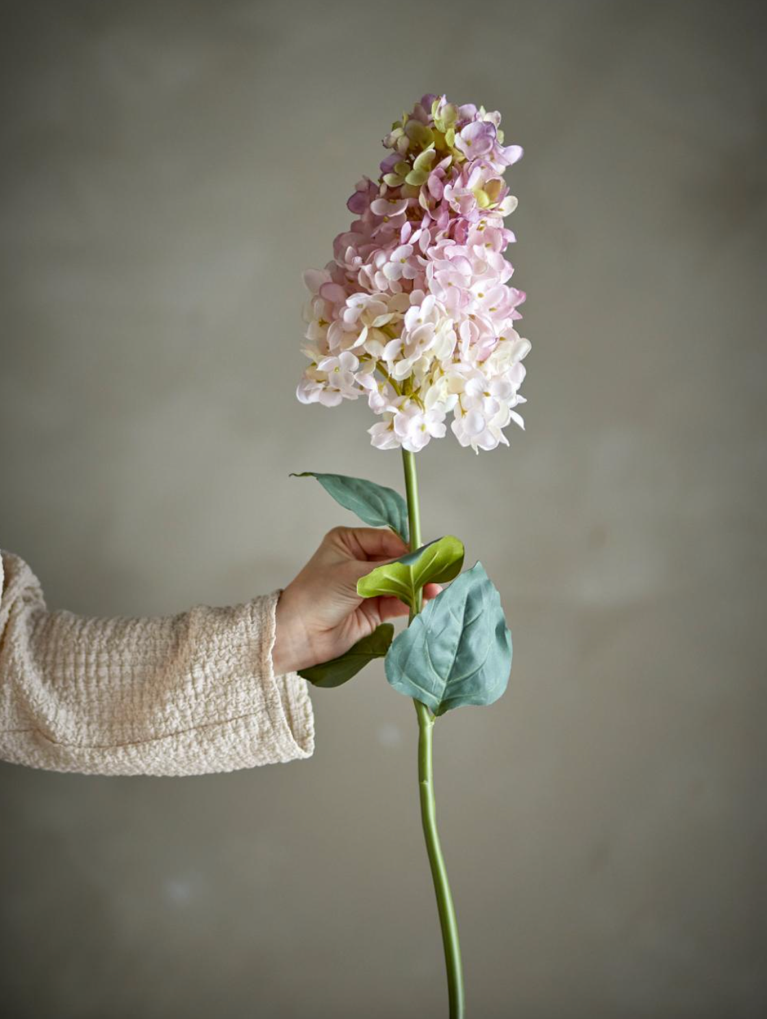 Seiden-Hortensie - 95cm