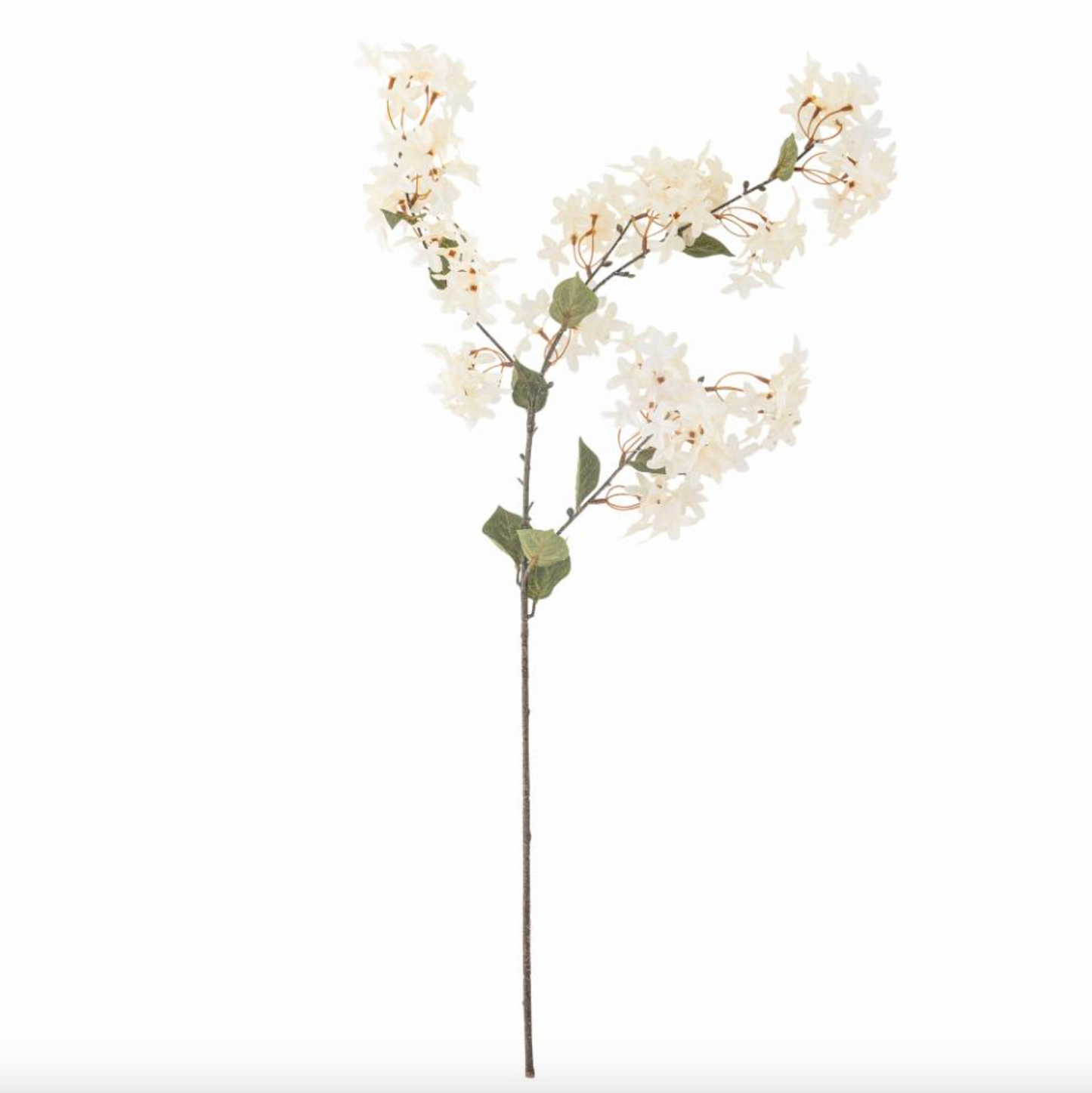 Blume silk