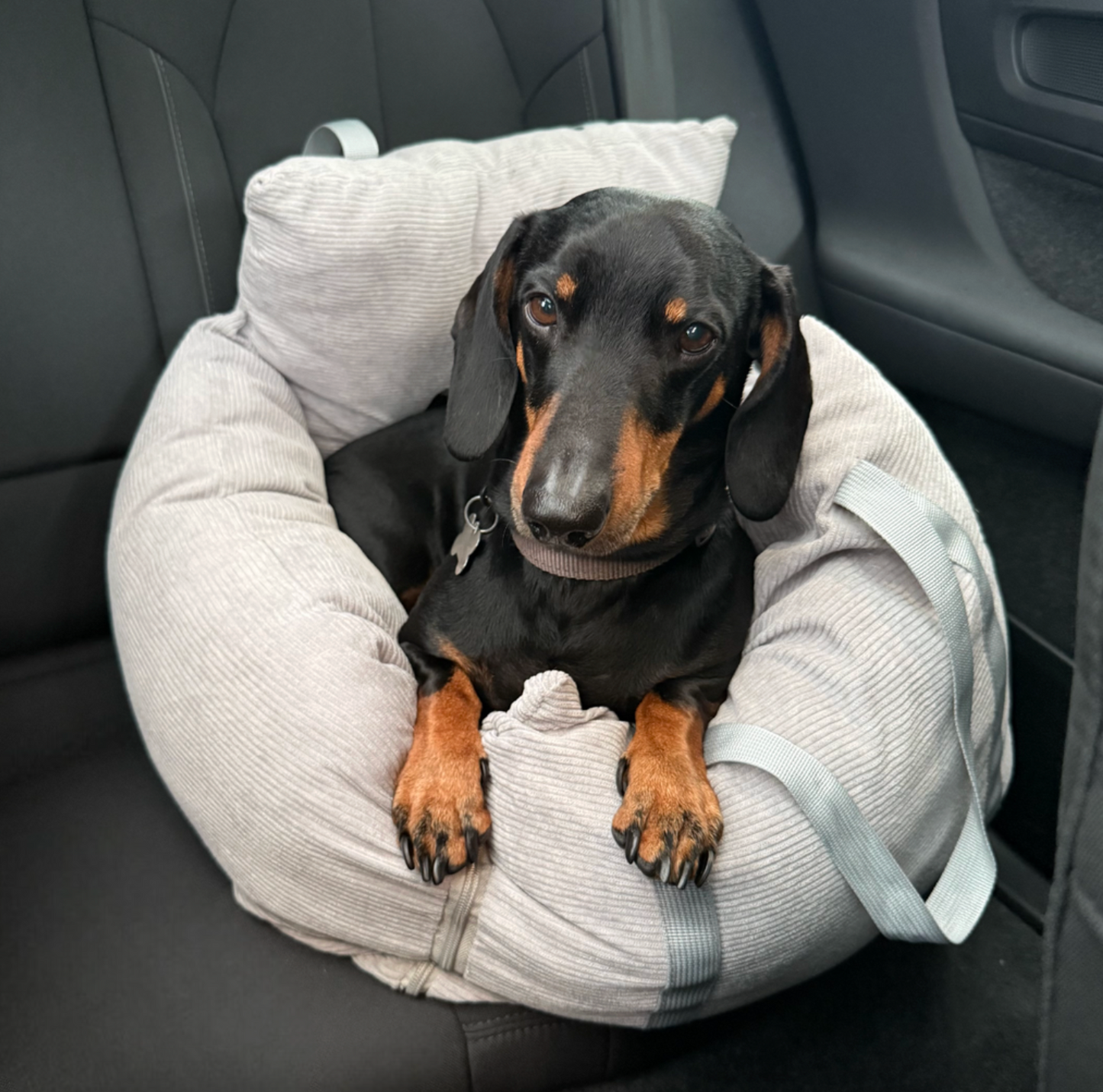 Hundekorb für den Autositz
