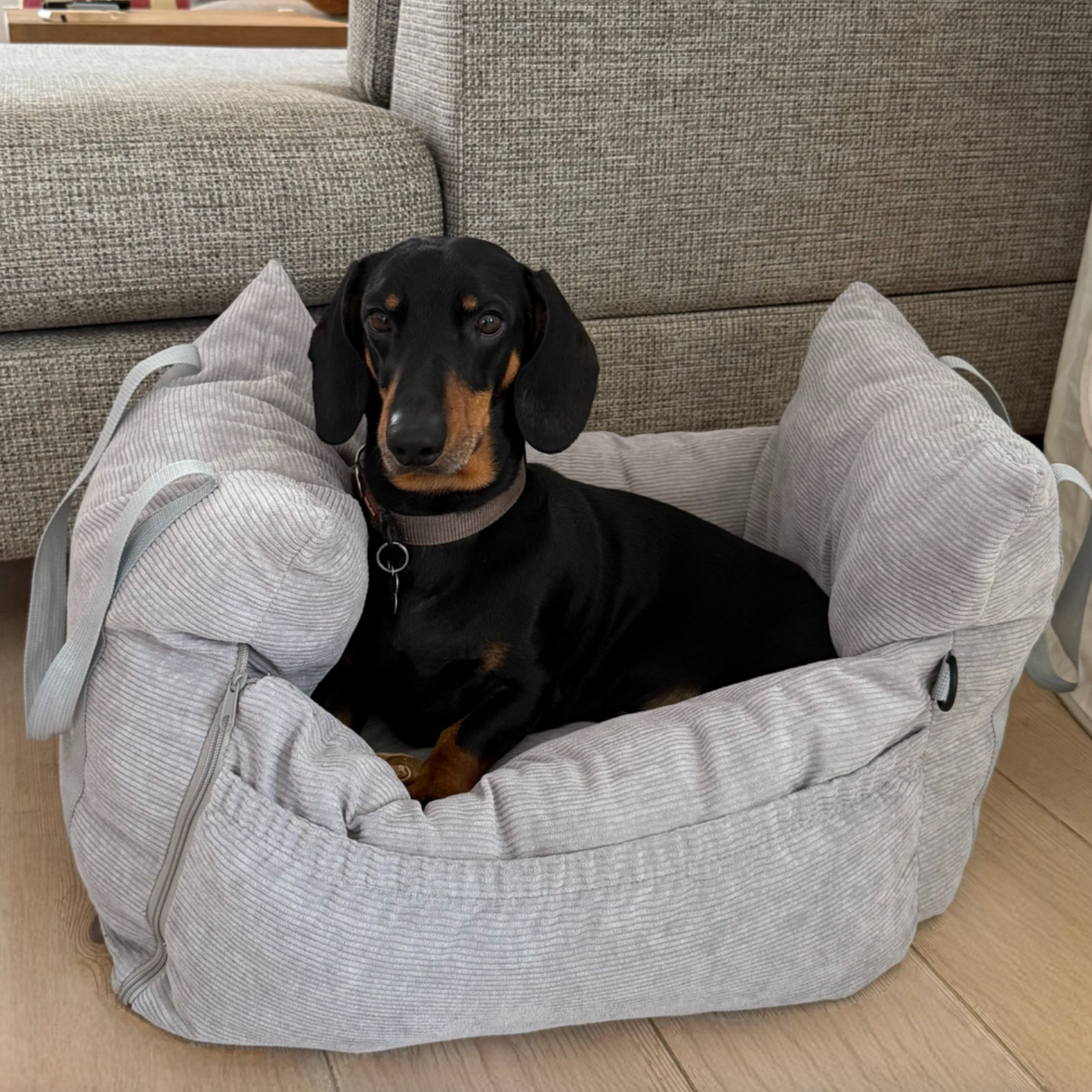 Hundekorb für den Autositz