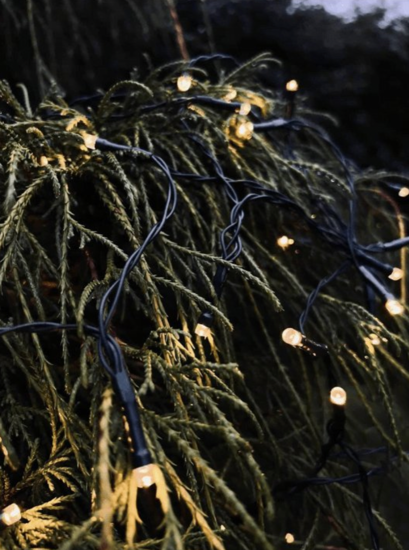 Lichterkette – Geeignet für Innen und Außen