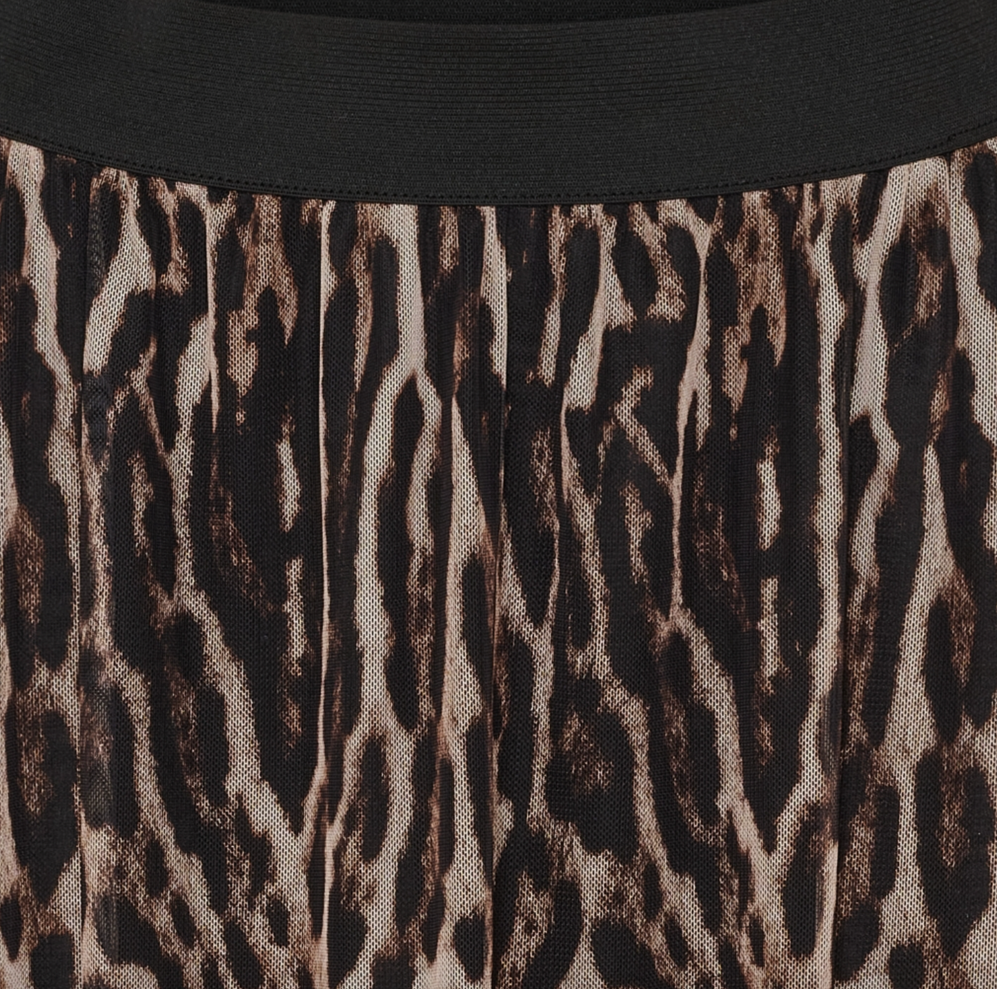 Rock Leo Mesh
