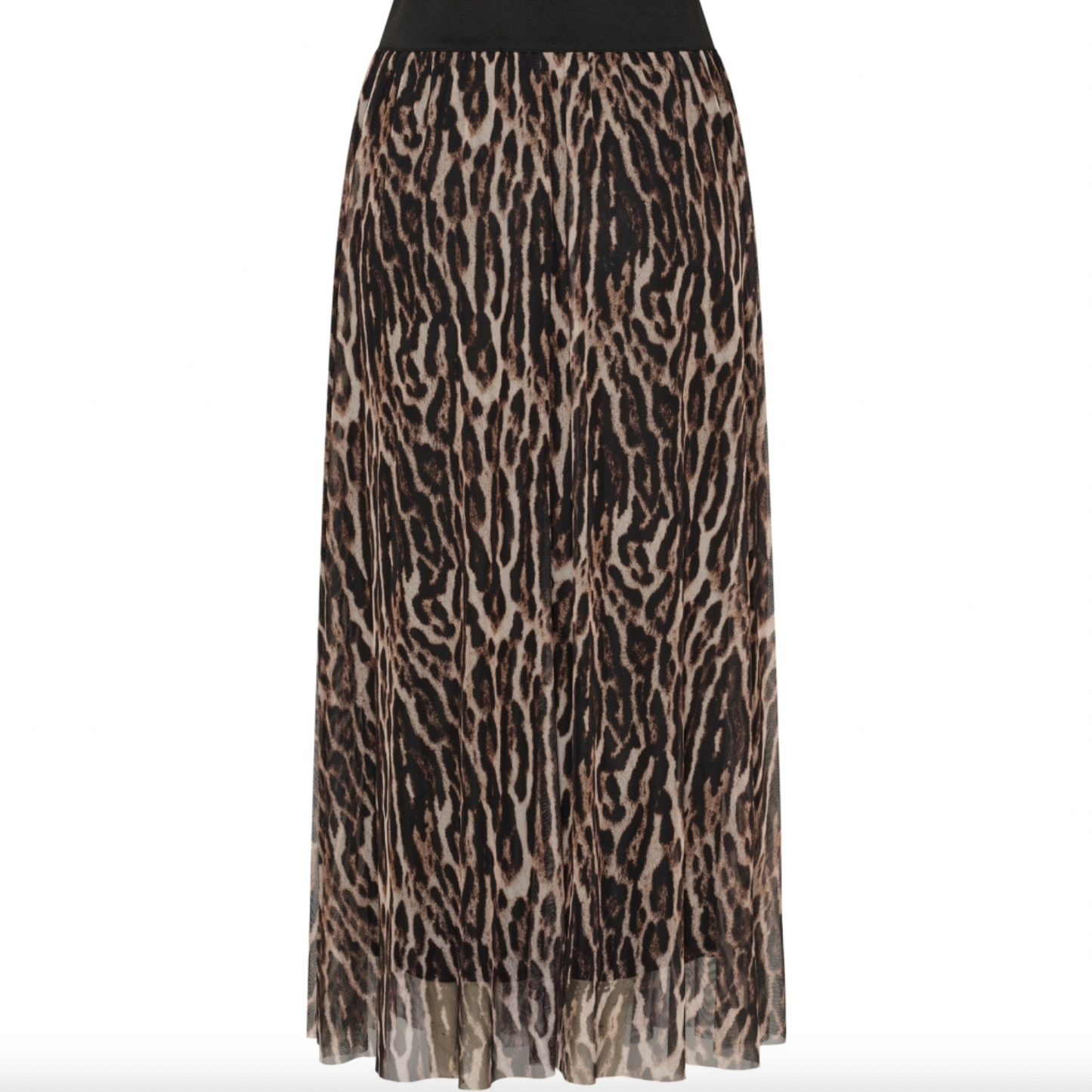 Rock Leo Mesh