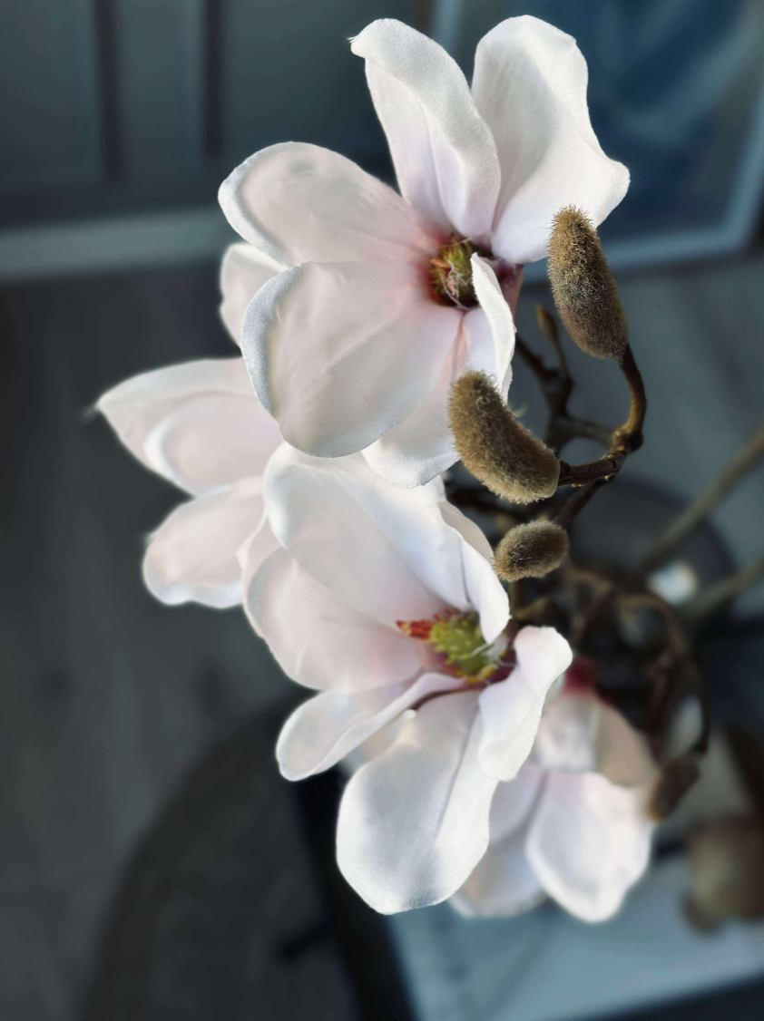 Magnolienzweig - Pink 52cm