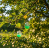 Wespenfalle – 2 Stk.