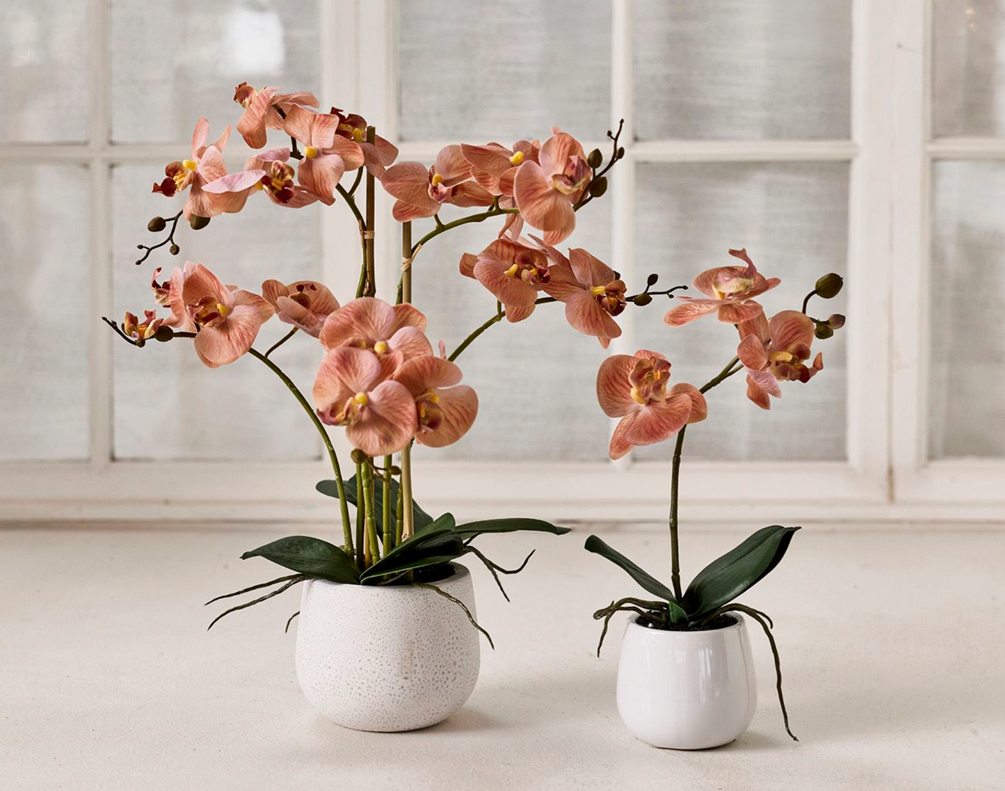 Orchidee im Topf - Rosa 36 cm