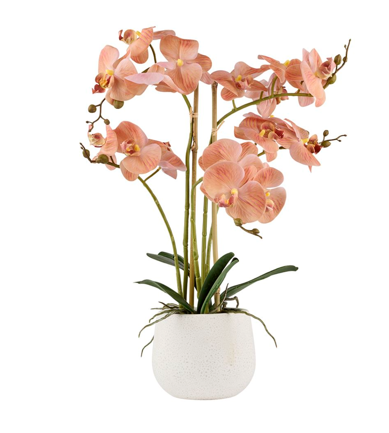 Orchidee im Topf - Rosa 50cm