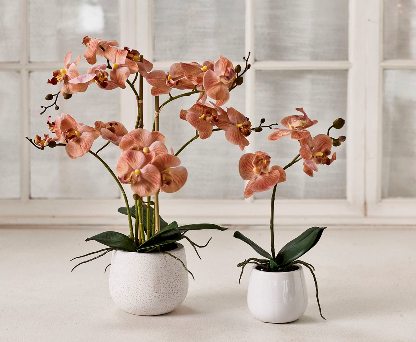 Orchidee im Topf - Rosa 50cm